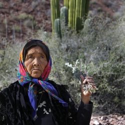mujer seri
