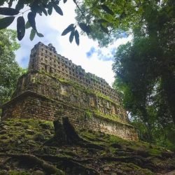 templo selva
